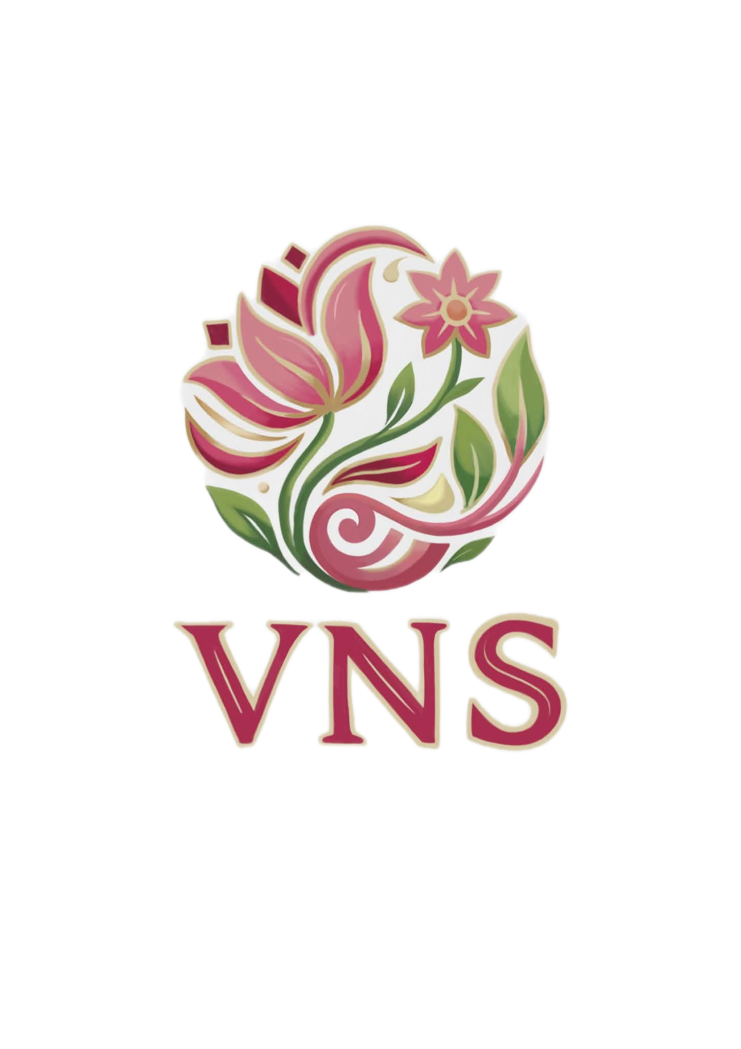 VNS Studio Logo